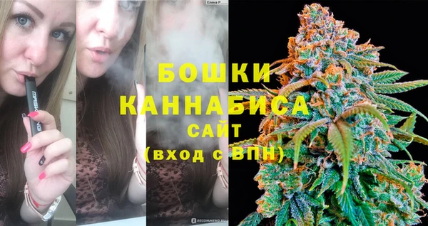 гашик Нефтекумск