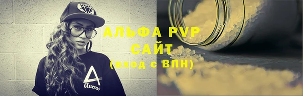 гашик Нефтекумск