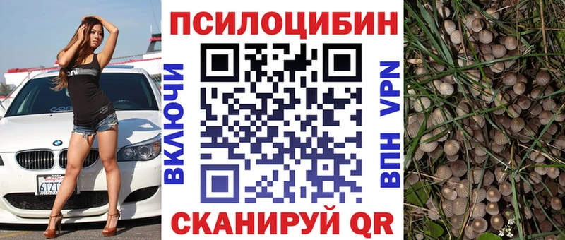 Галлюциногенные грибы MAGIC MUSHROOMS  Липецк 